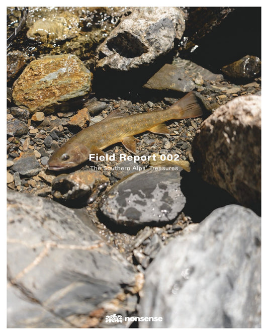 The Southern Alps' Treasures